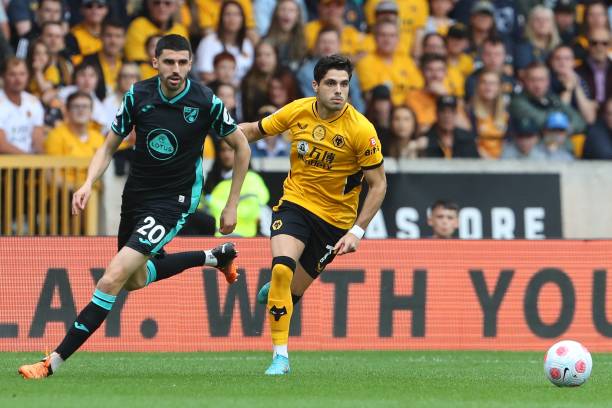 雷加为何不 雷加为何不